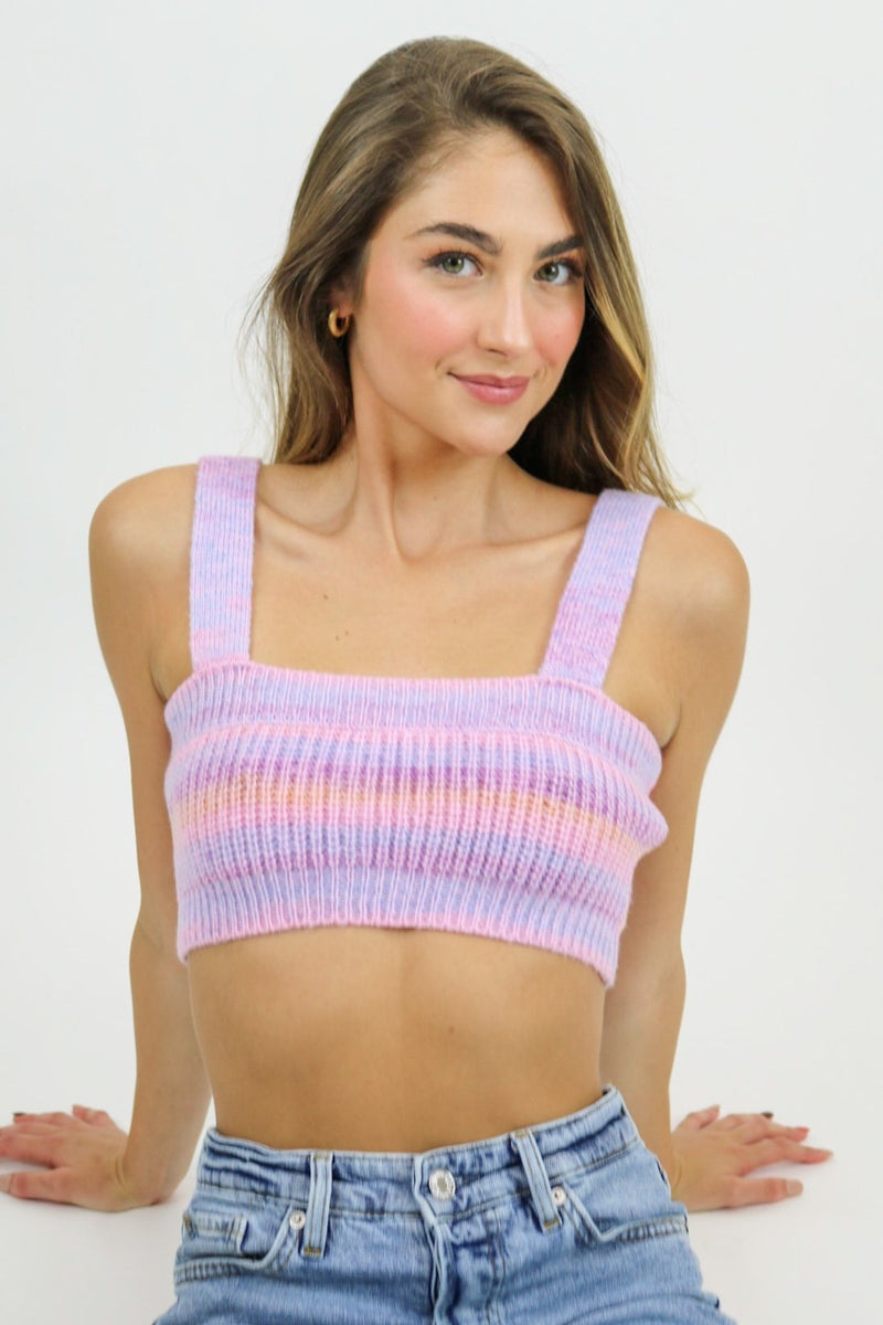 Wing It Rainbow Crop Top | Lavender Multi